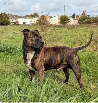 Oualou (Sans Affixe)