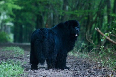 image de Owaci-kia-ora-ai-koutou-roa