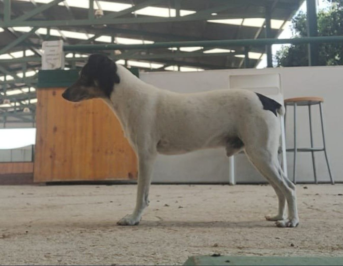 Publication : De Carthago Spartaria