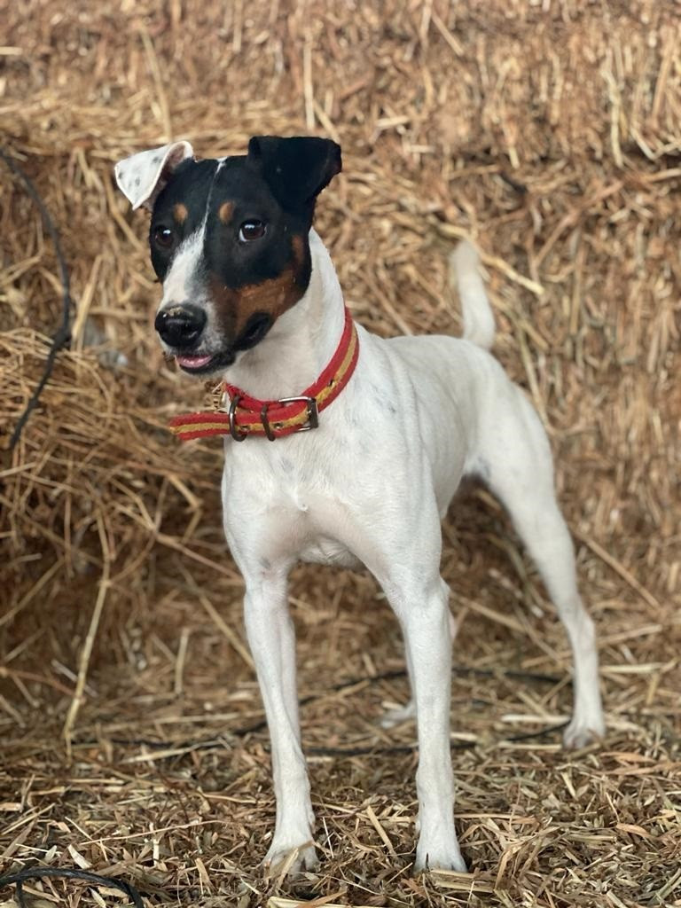 Publication : De Carthago Spartaria