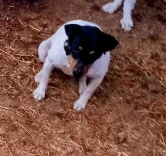 Publication : De Carthago Spartaria