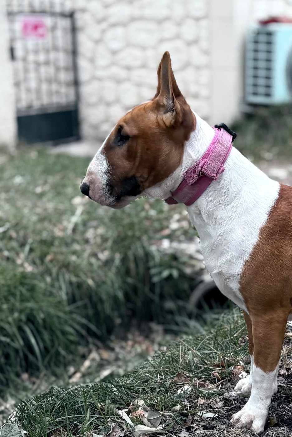 Publication : Des Minis De Ryosie 