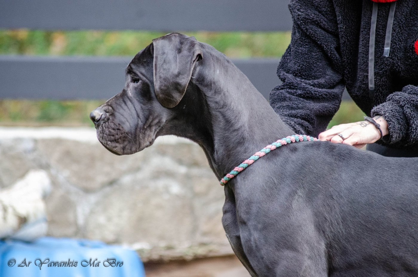 Publication : Des Iles Aux Falaises 