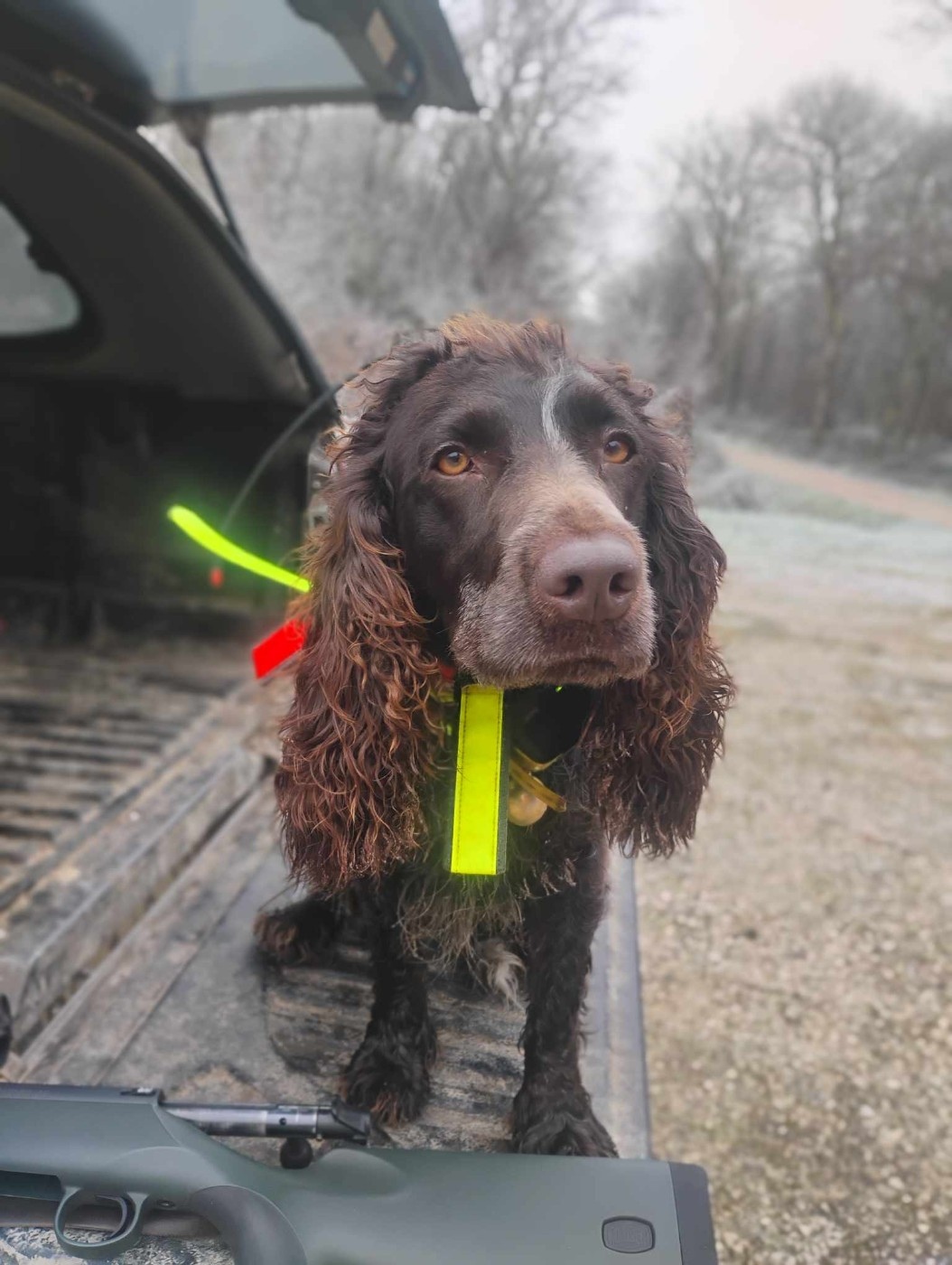 Publication : Des Epines Noires Du Finage Auteur : Lullier