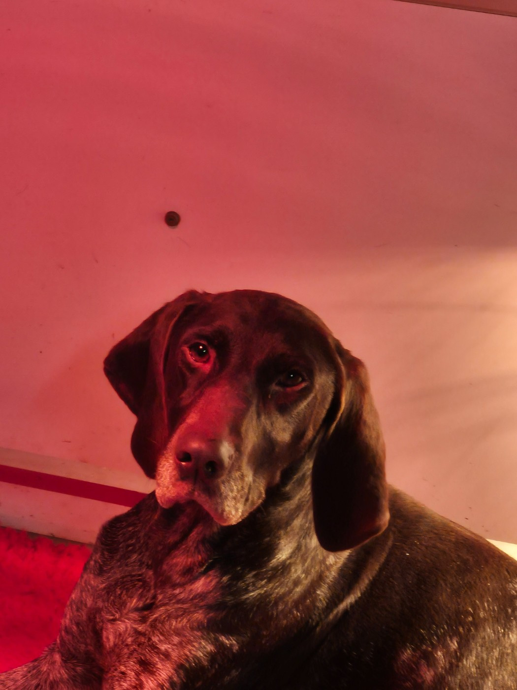 Publication : des Mannes Fleuries 