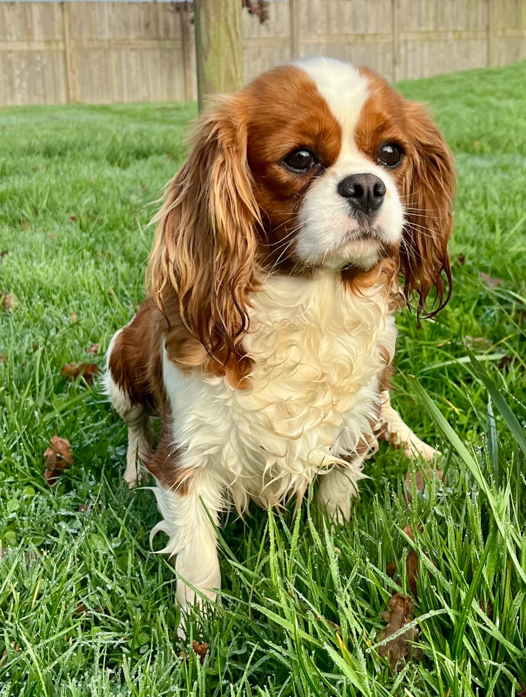 Publication : Des Vents D'Océan 