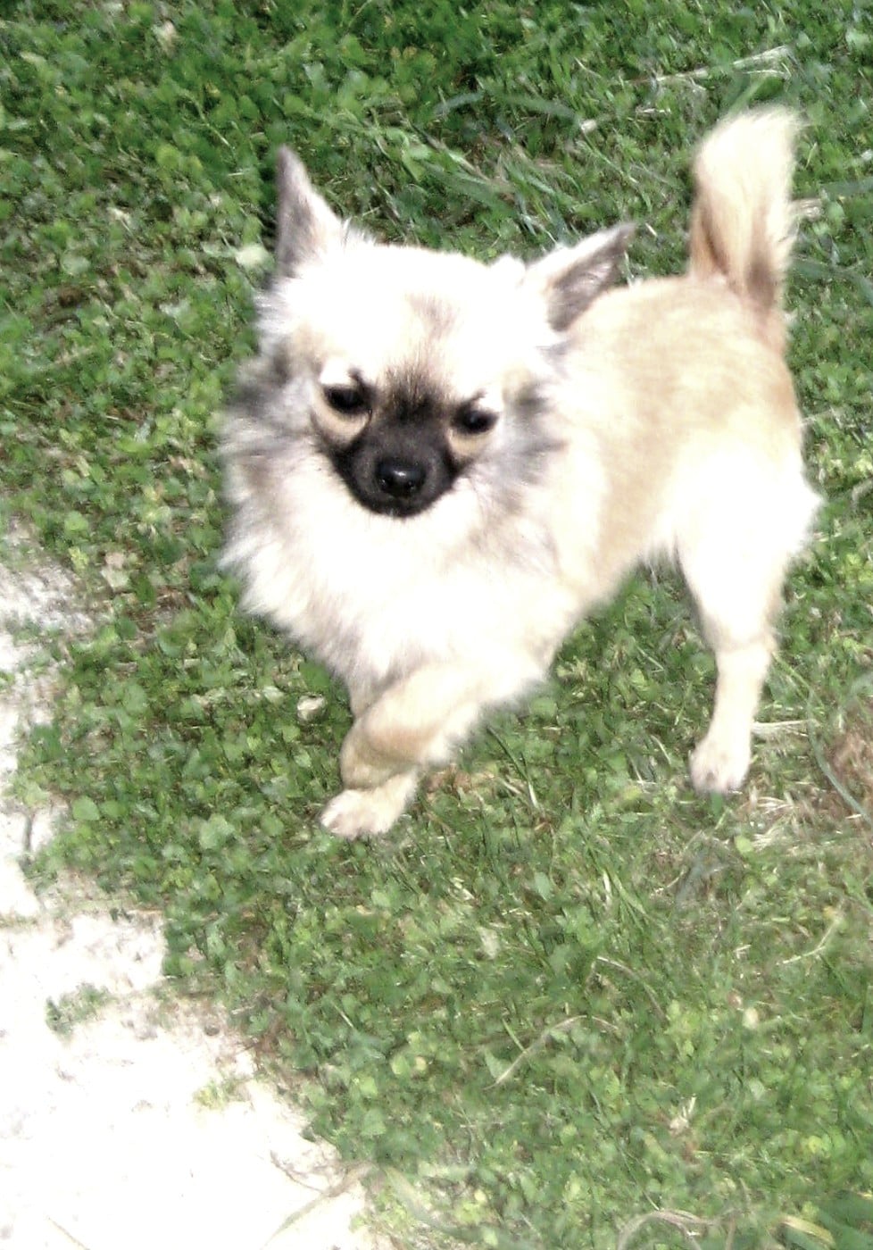 Publication : Du Domaine Des Beautés Divines 