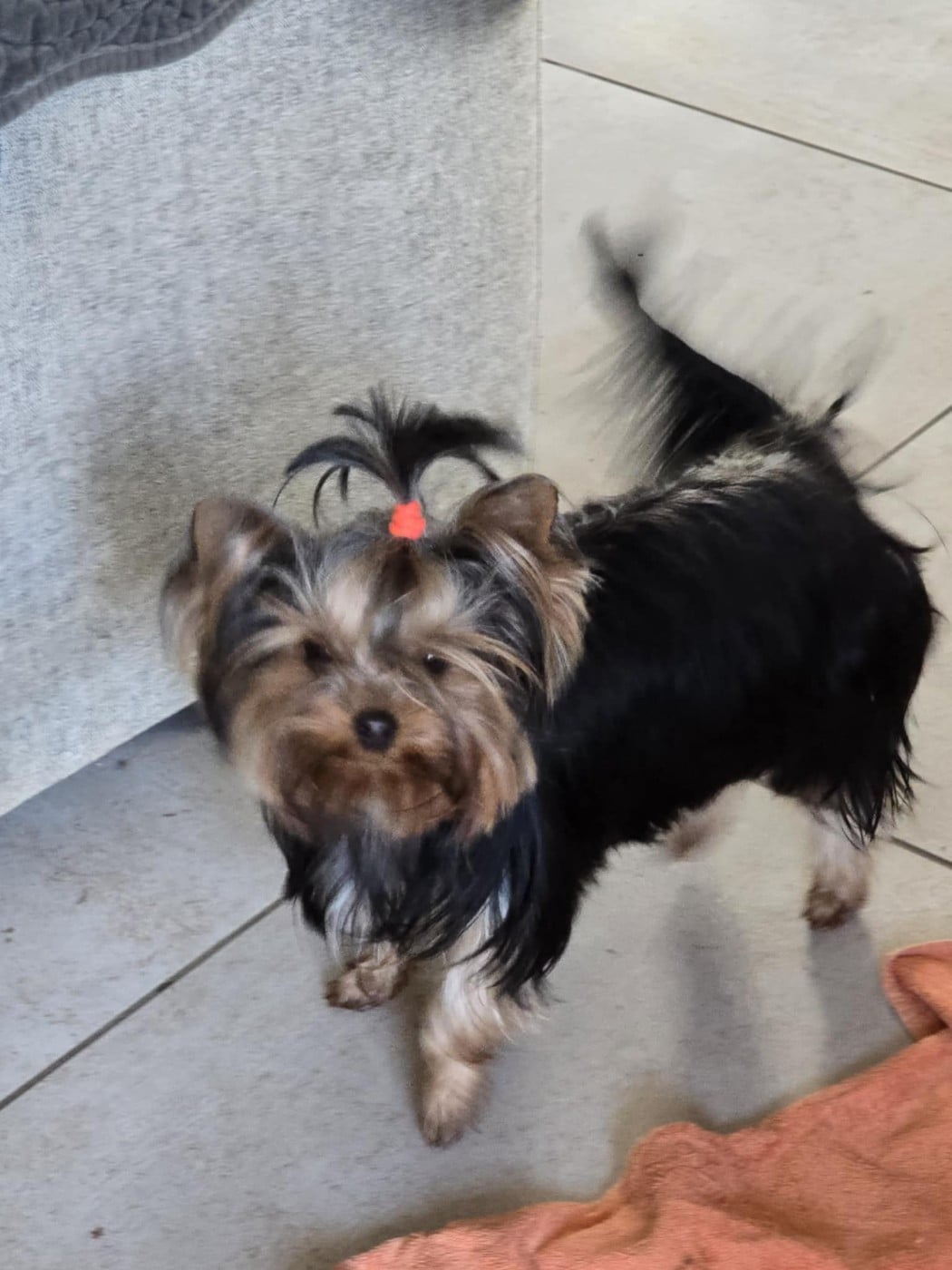 Publication : Du Domaine De La Lézardière