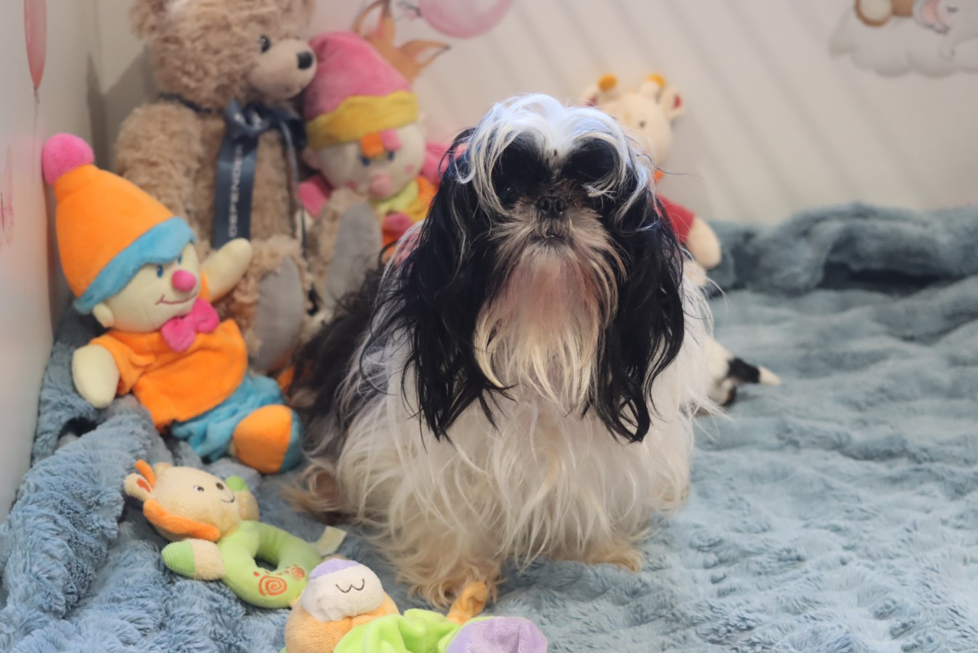 Publication : de la ferme des Mottes Auteur : FDM