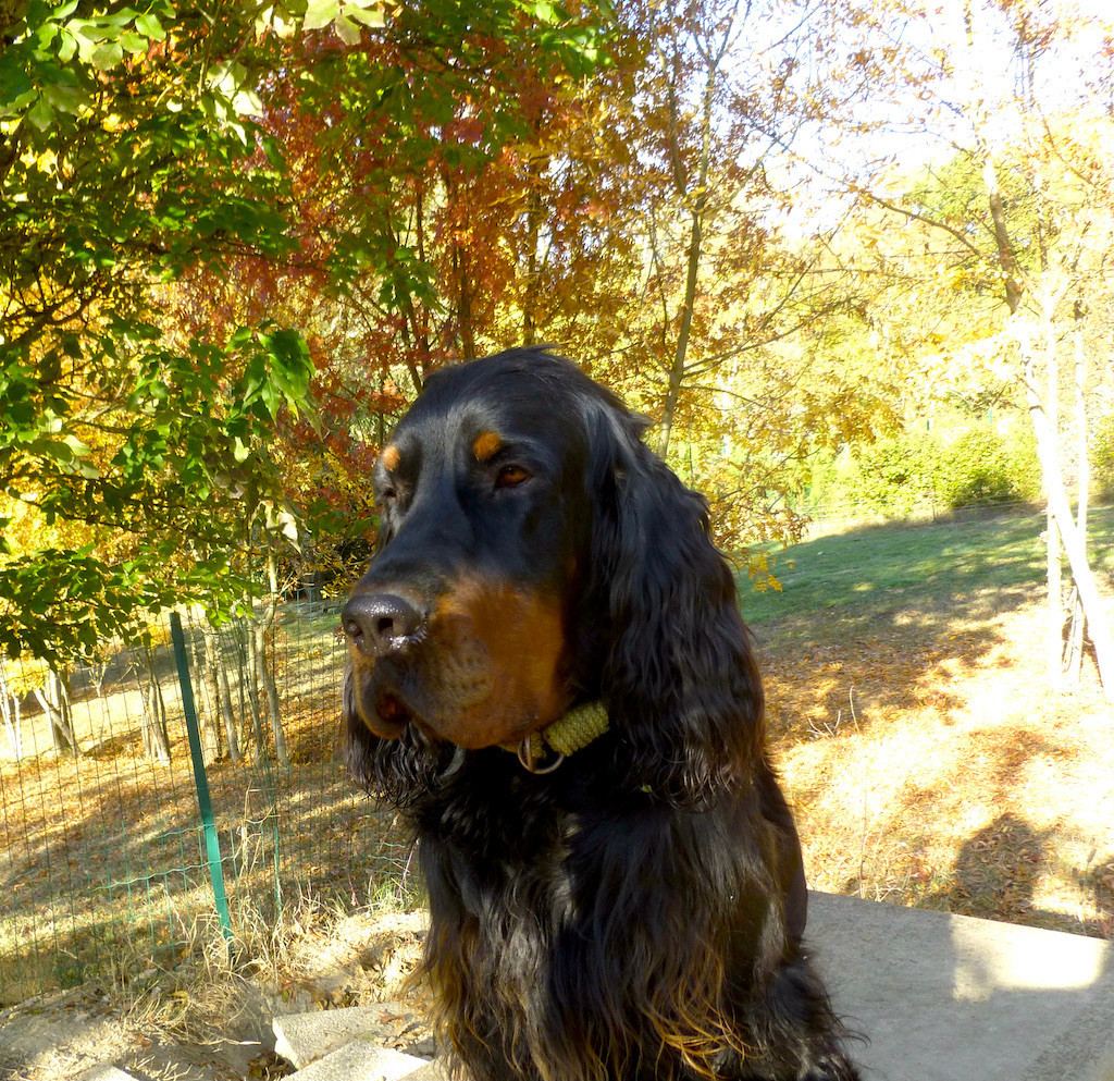 Publication : Des Pralines D'Aubejoux Auteur : christine Versavau