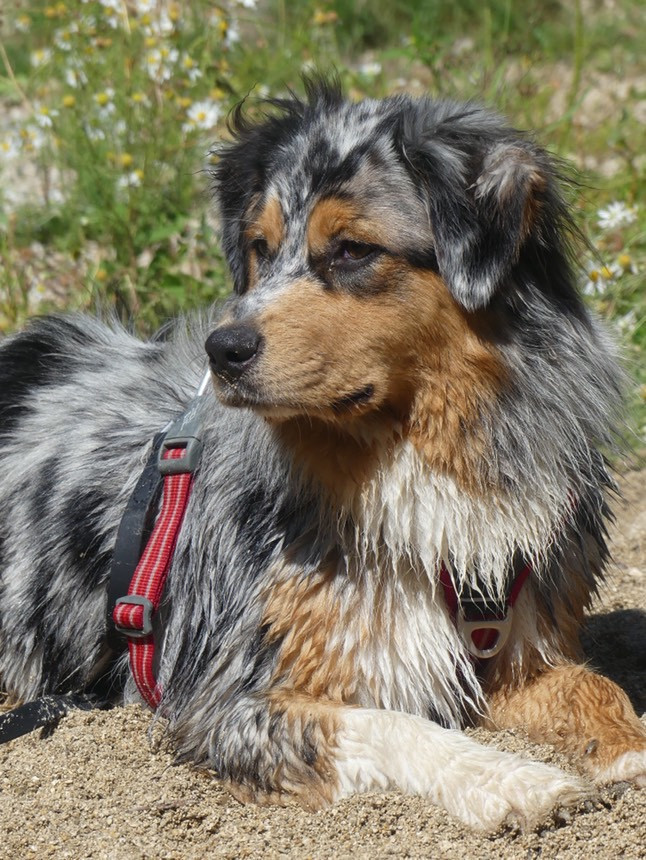 Publication : Des Perles Du Lac