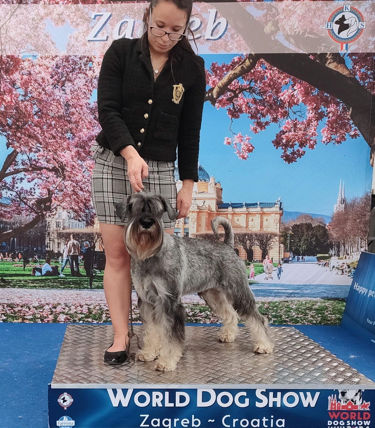 CH. Zik Sanders Chambord