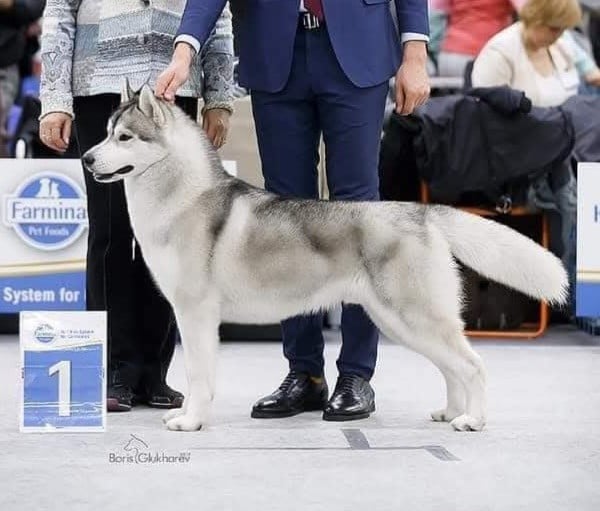 Kristari's Lightning strikes twice