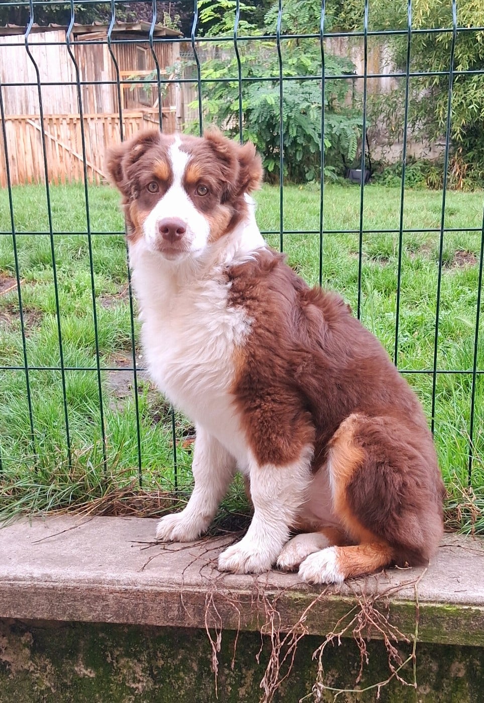 Publication : De L'Empire Eternel 