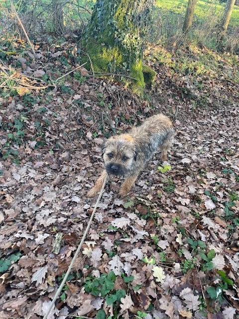 Publication : de l'antre des jacks