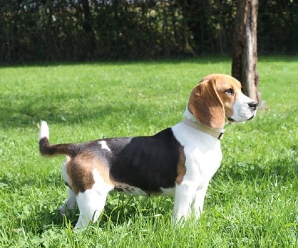 Publication : du clos du bonheur