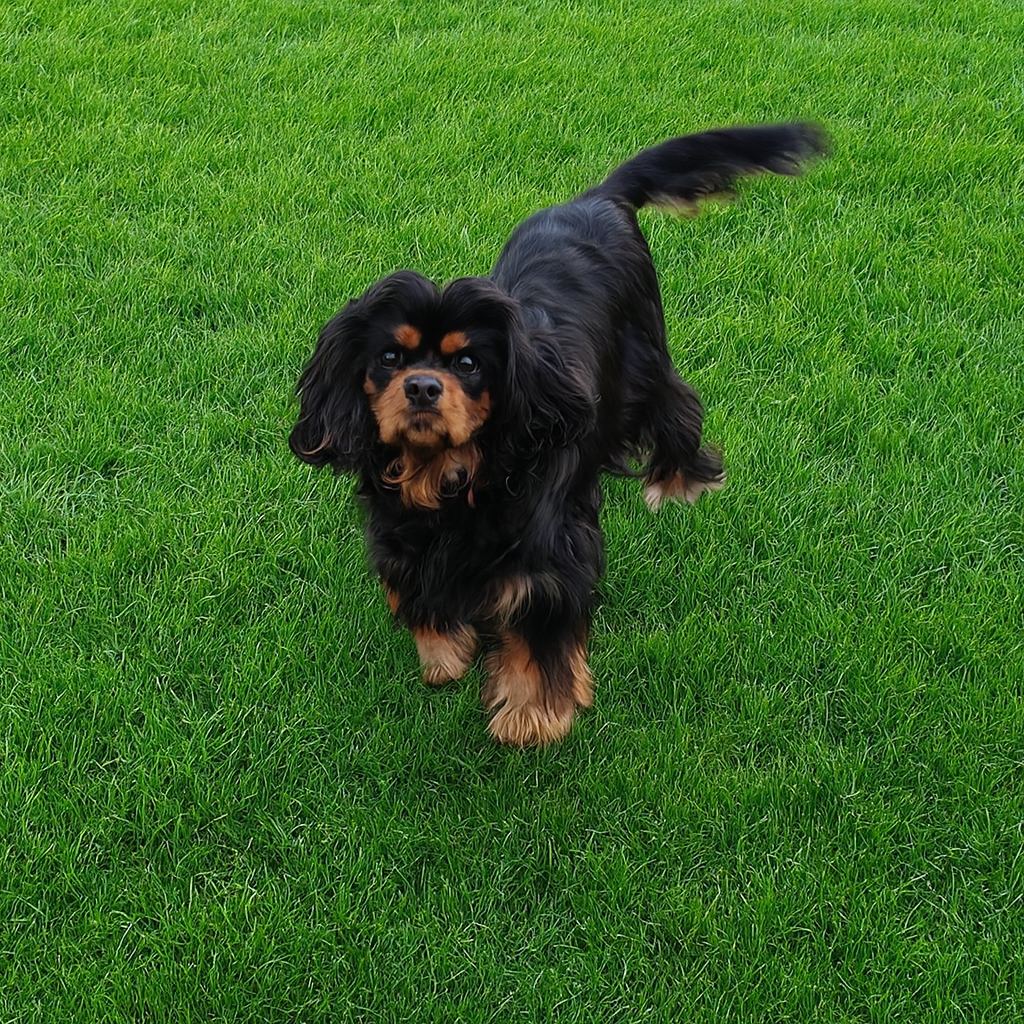 UMBRA des Méandres de la Vézère