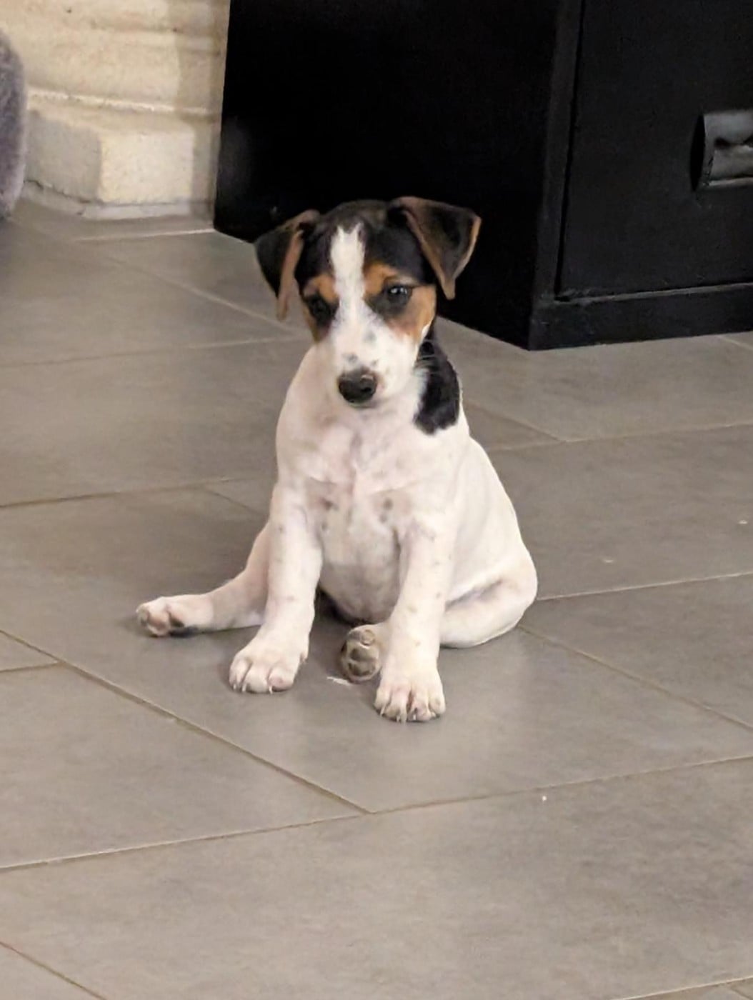 Publication : de la pinkinerie