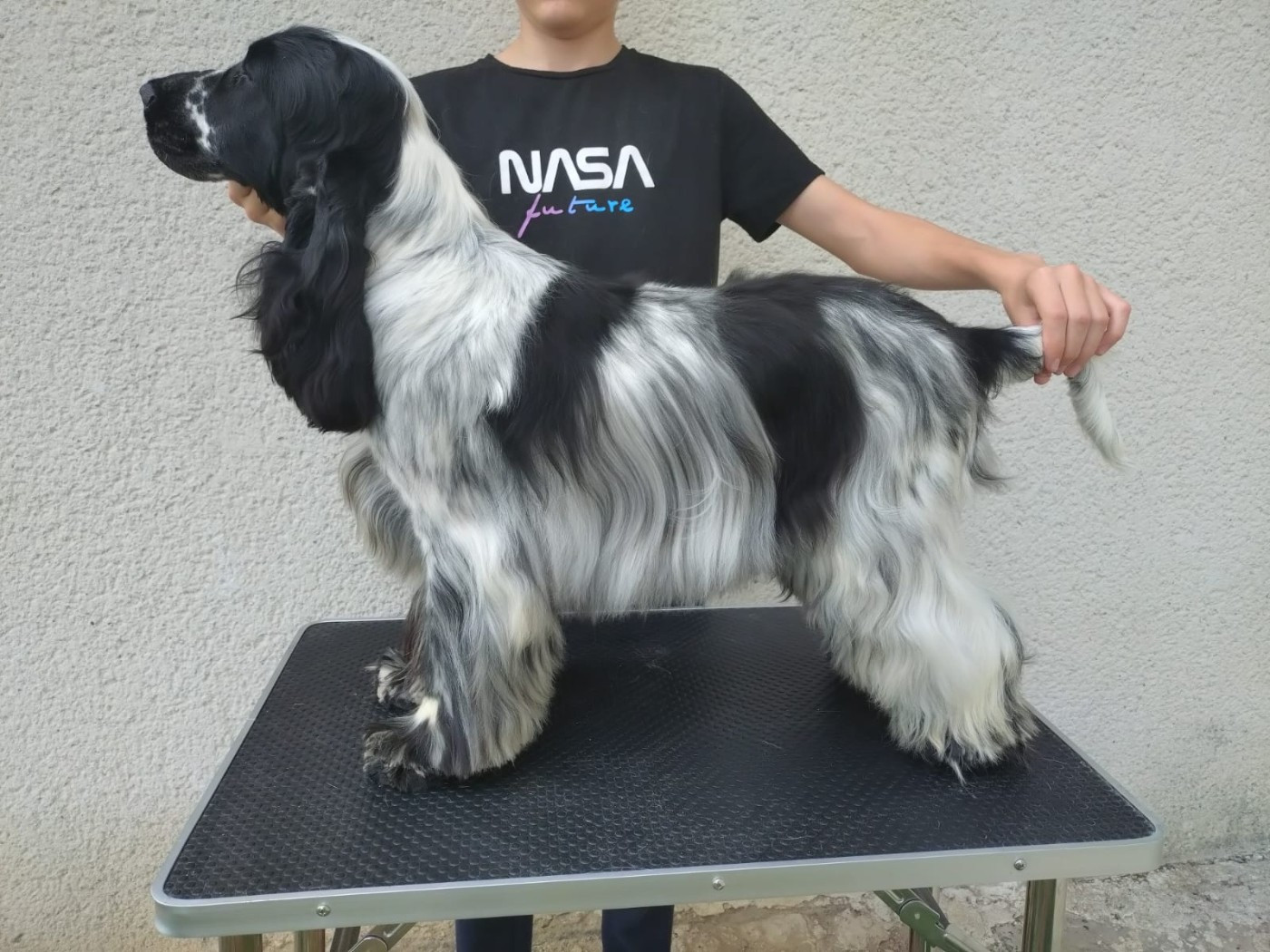 Publication : Du Clos Des Belles Oreilles