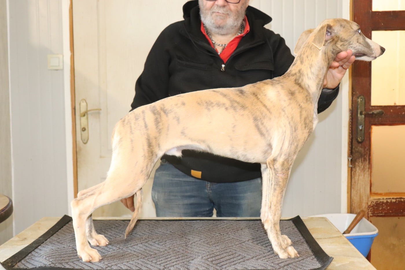 Publication : von Hoëhenzoller Auteur : Priscillia DA COSTA