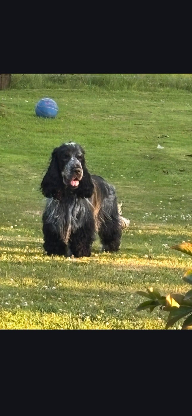 Publication : De La Petite Cauviniere