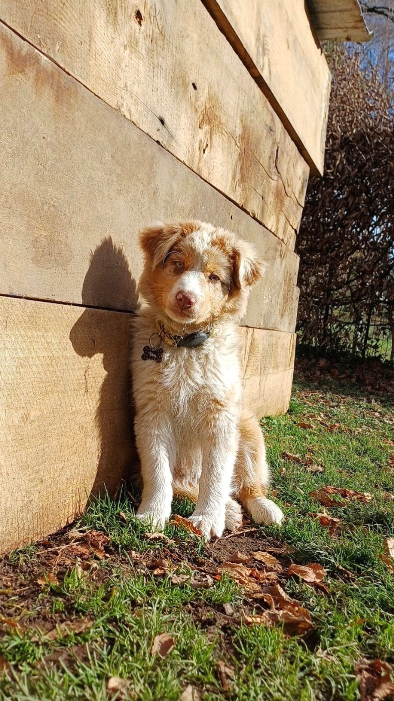 Publication : Du Haut Village