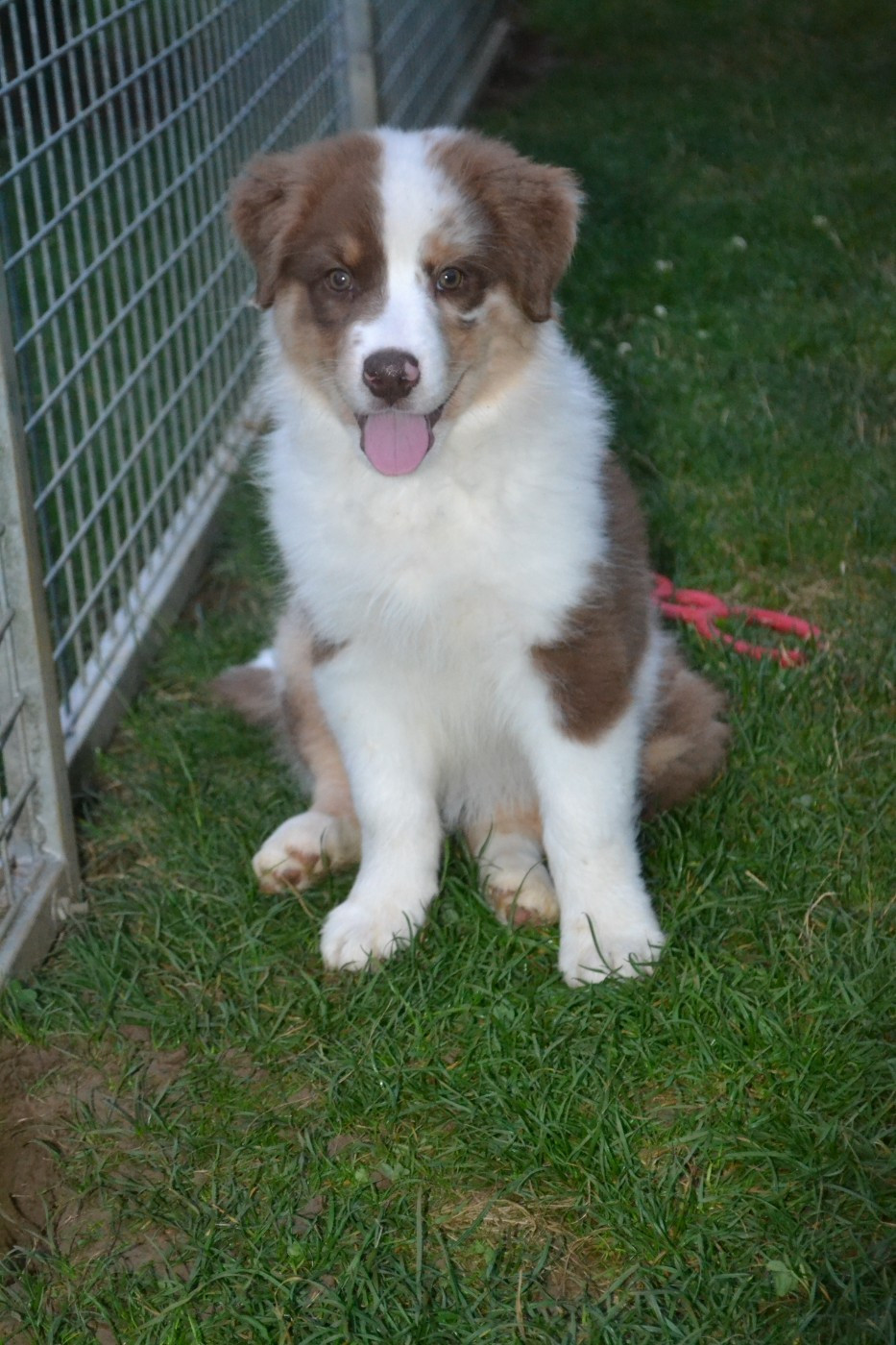 Publication : De La Vie Sans Soucis