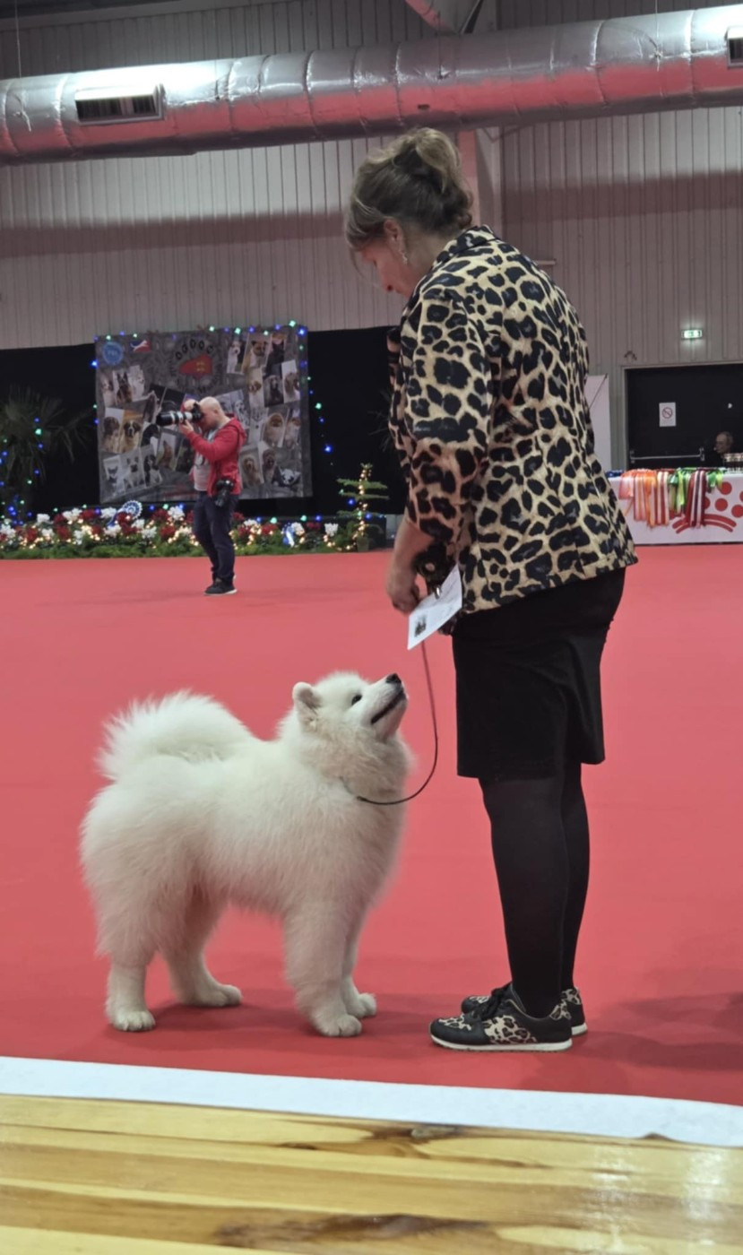 Publication : of Karasea Auteur : J.A