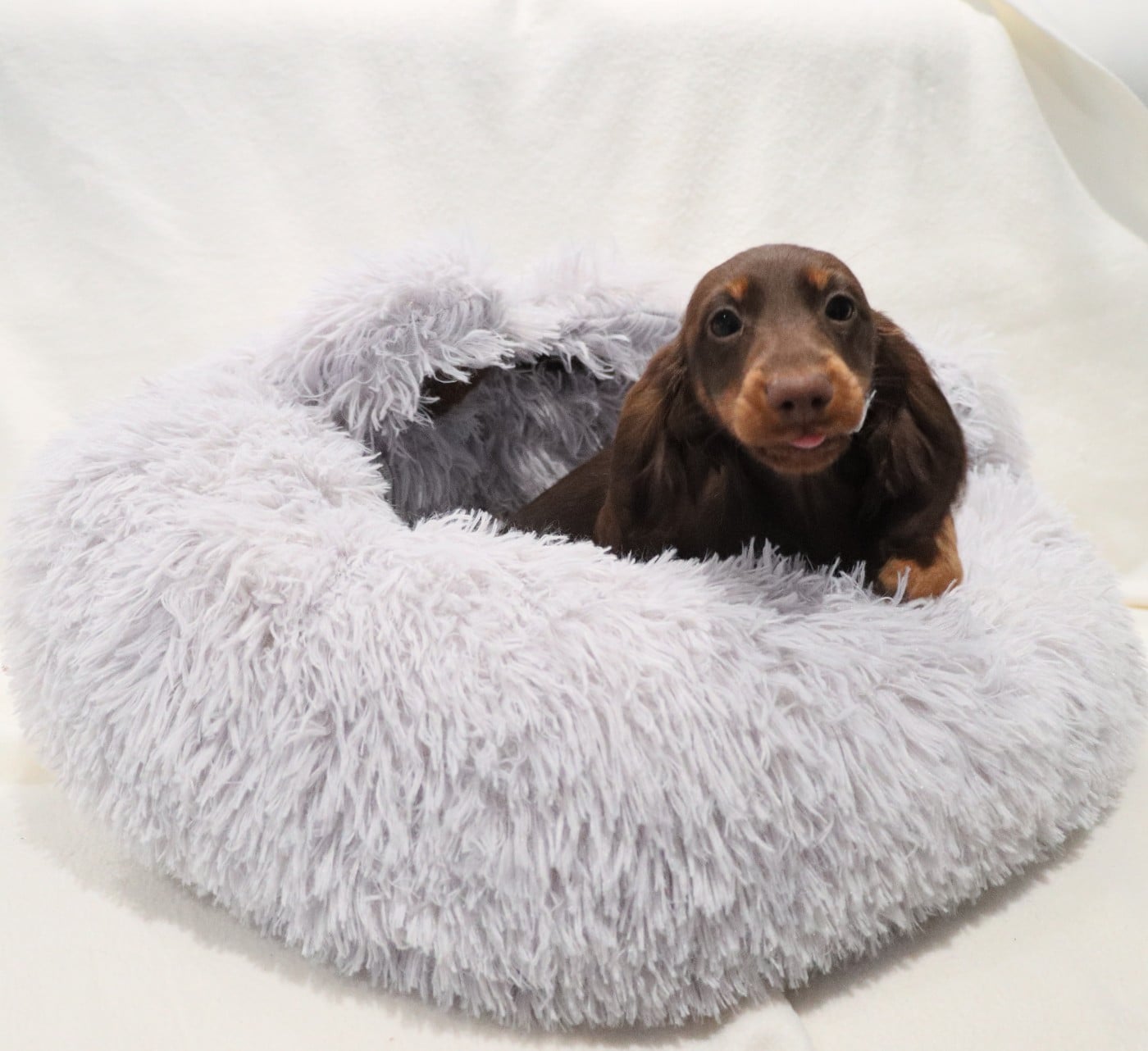 Publication : de la grande equinoxe 