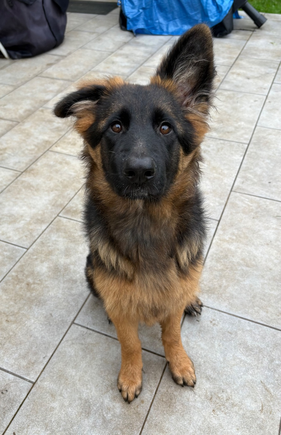 Publication : De La Plaine Bretonne