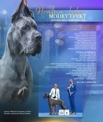 Publication : d'Attendal du Pins 