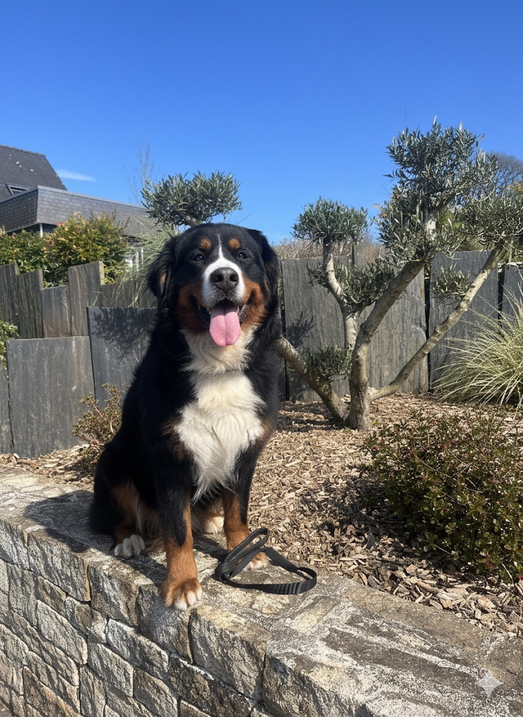 Publication : (Sans Affixe)