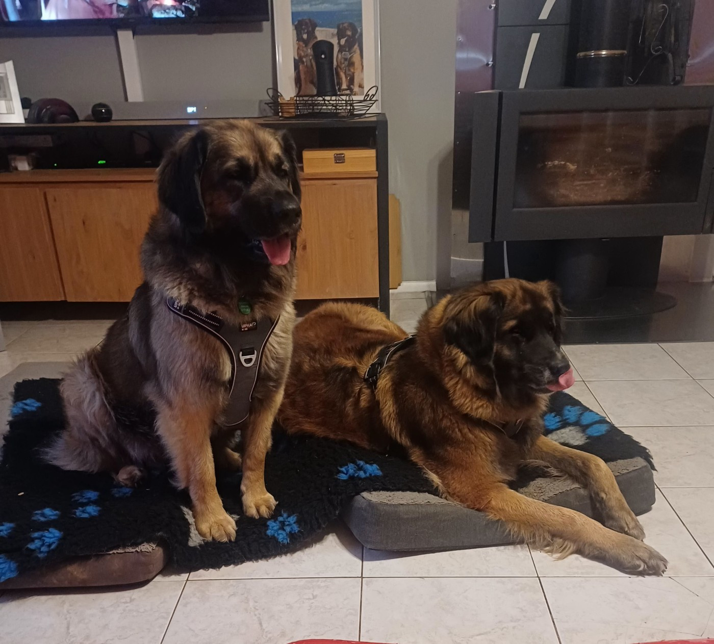 Publication : de la ligne bleue