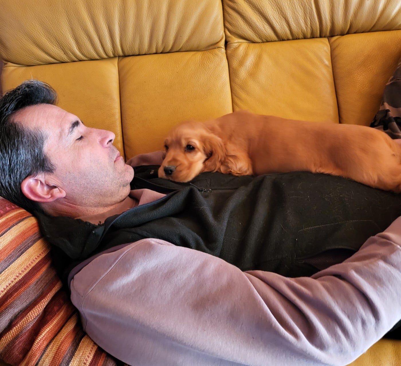 Publication : du domaine de Std Gladyce