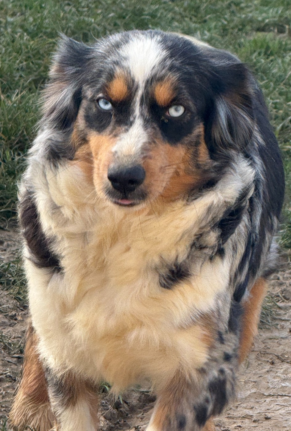 Publication : Kingdom of Margail 