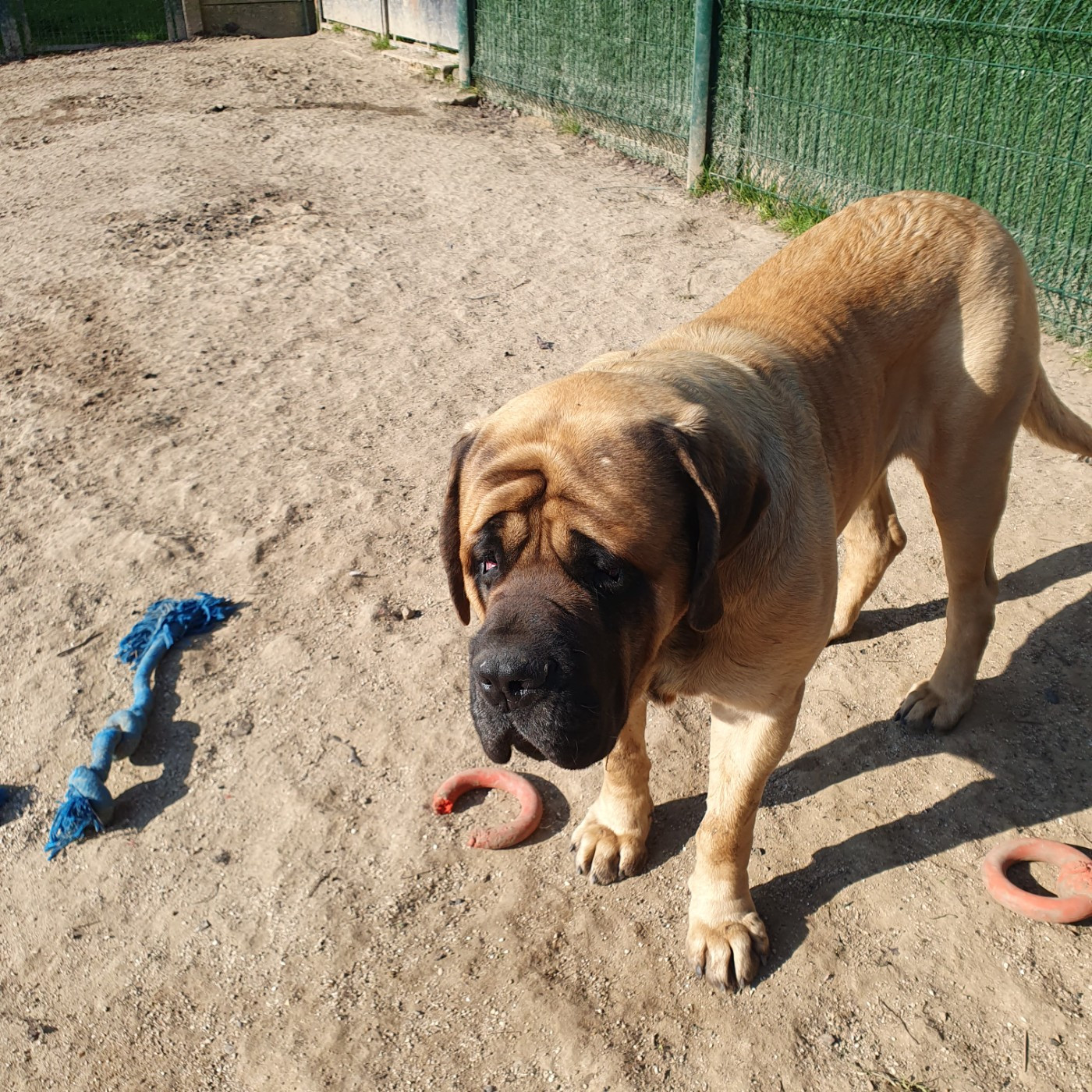 SAM De La Maison De L'étoile