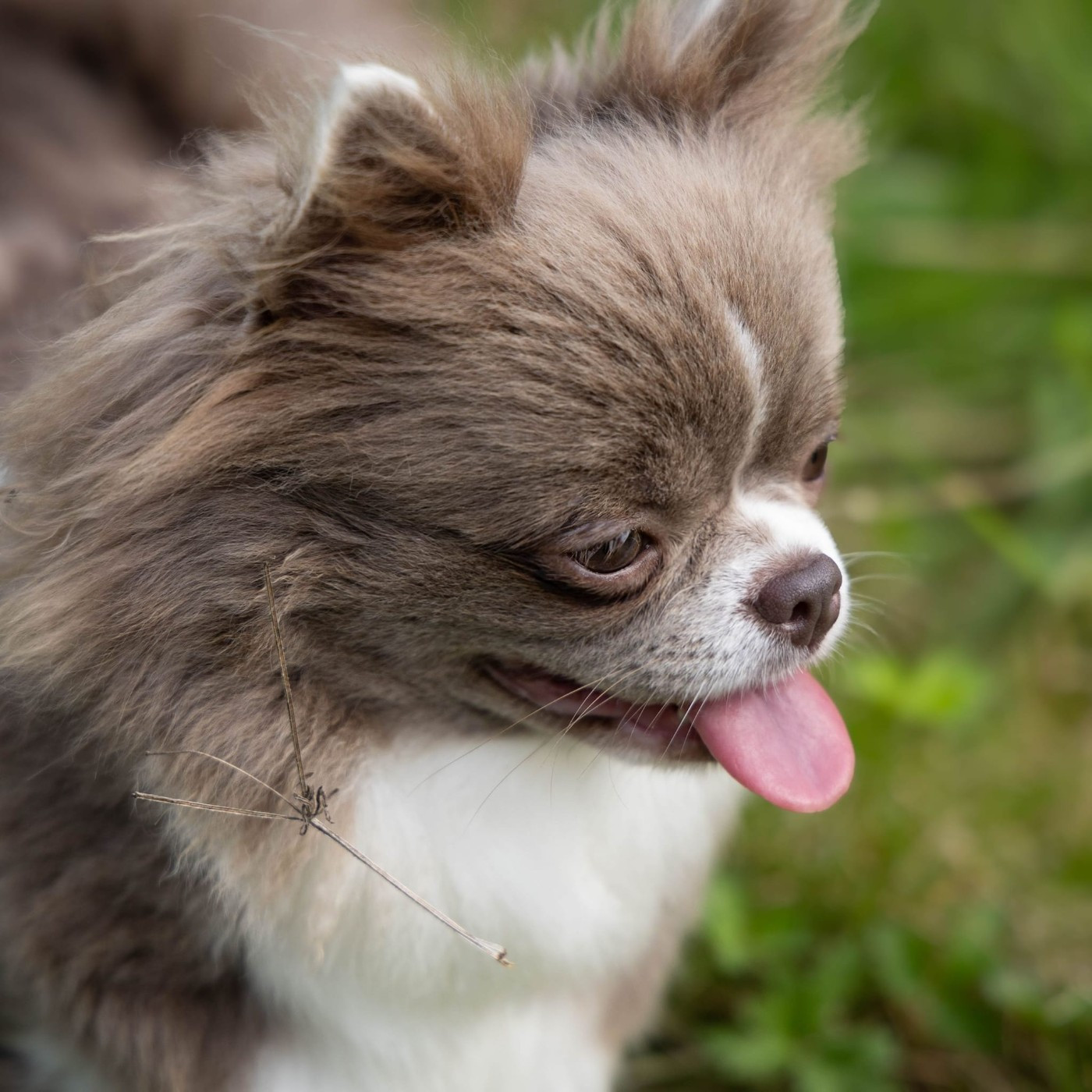 Publication : Of Wizards World 