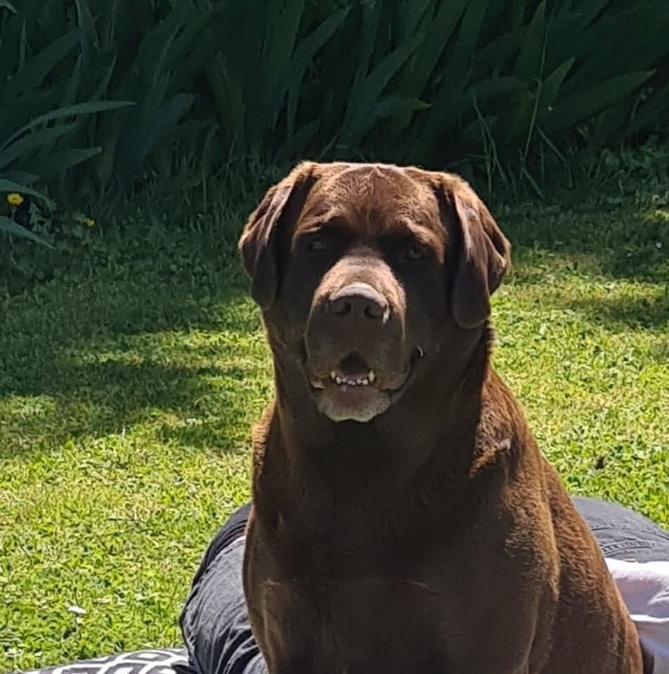 Publication : De La Vallée De Brétignolle 