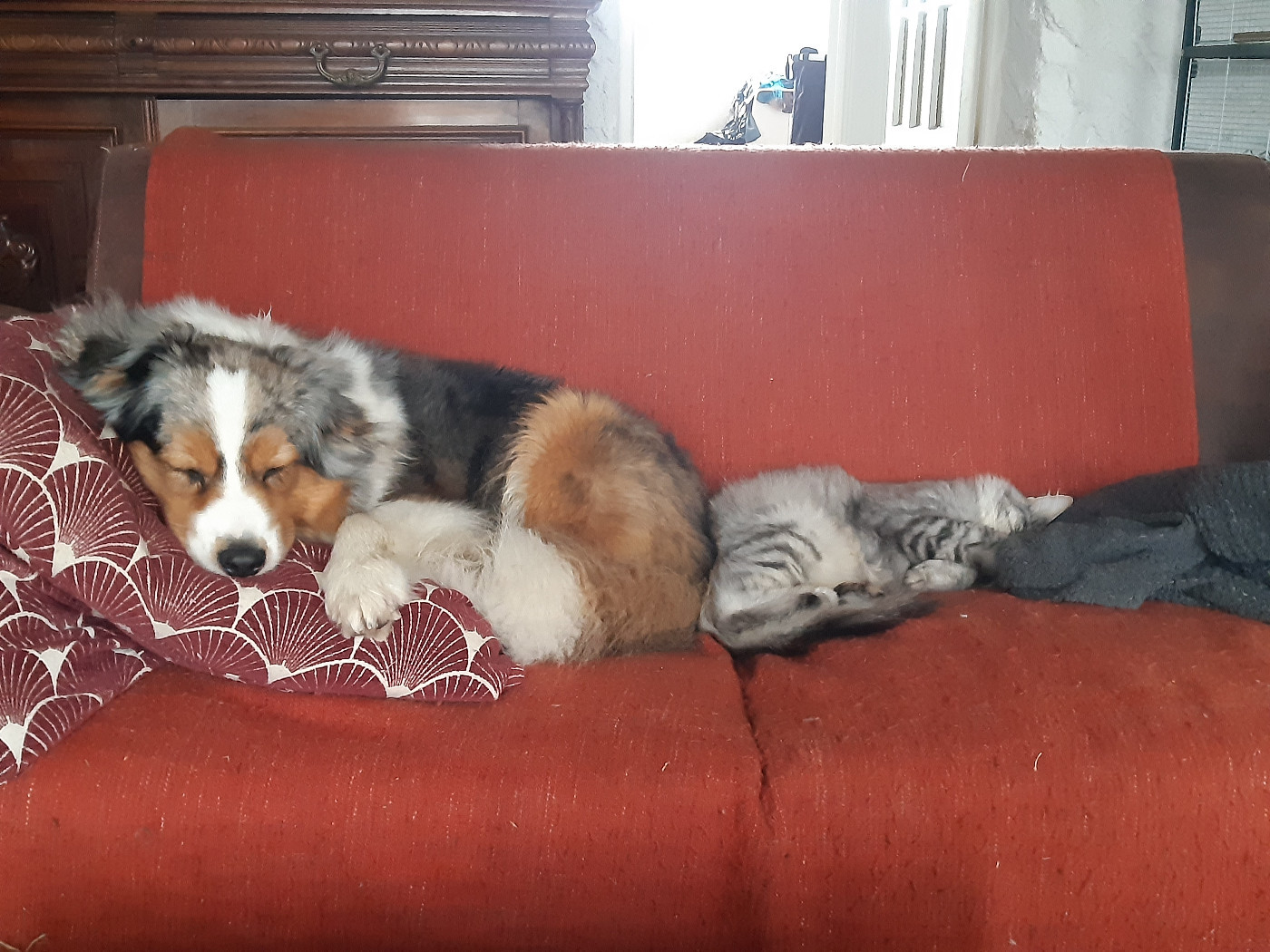 Publication : du Libre Rivage Auteur : Alice N