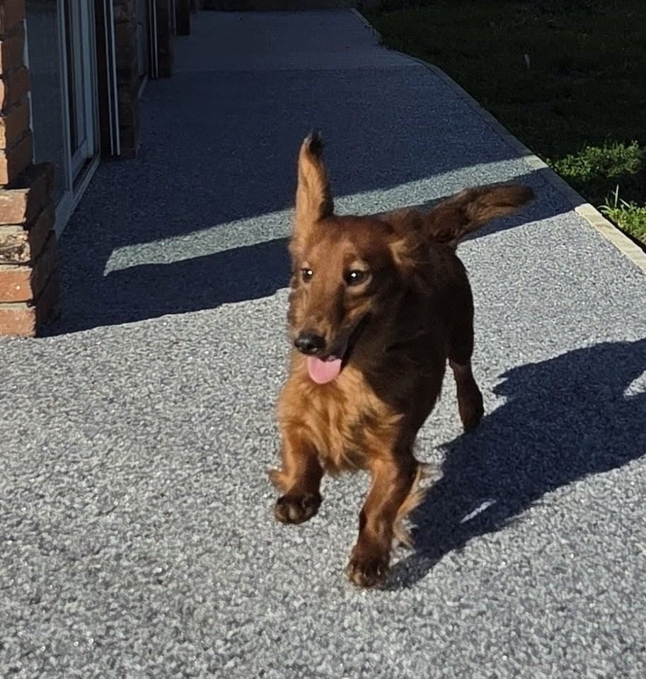 Publication : du reve six coeurs Auteur : YR