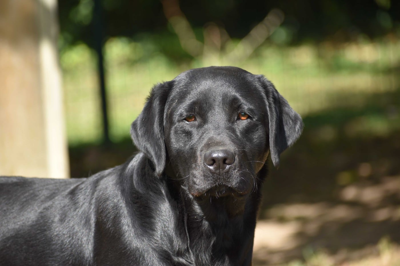 Publication : Des bories de yakoubia Auteur : EARL LES BORIES DE YAKOUBIA