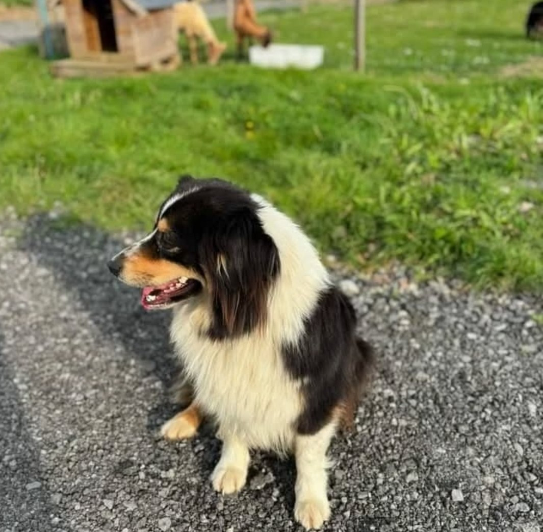 Publication : (Sans Affixe) 