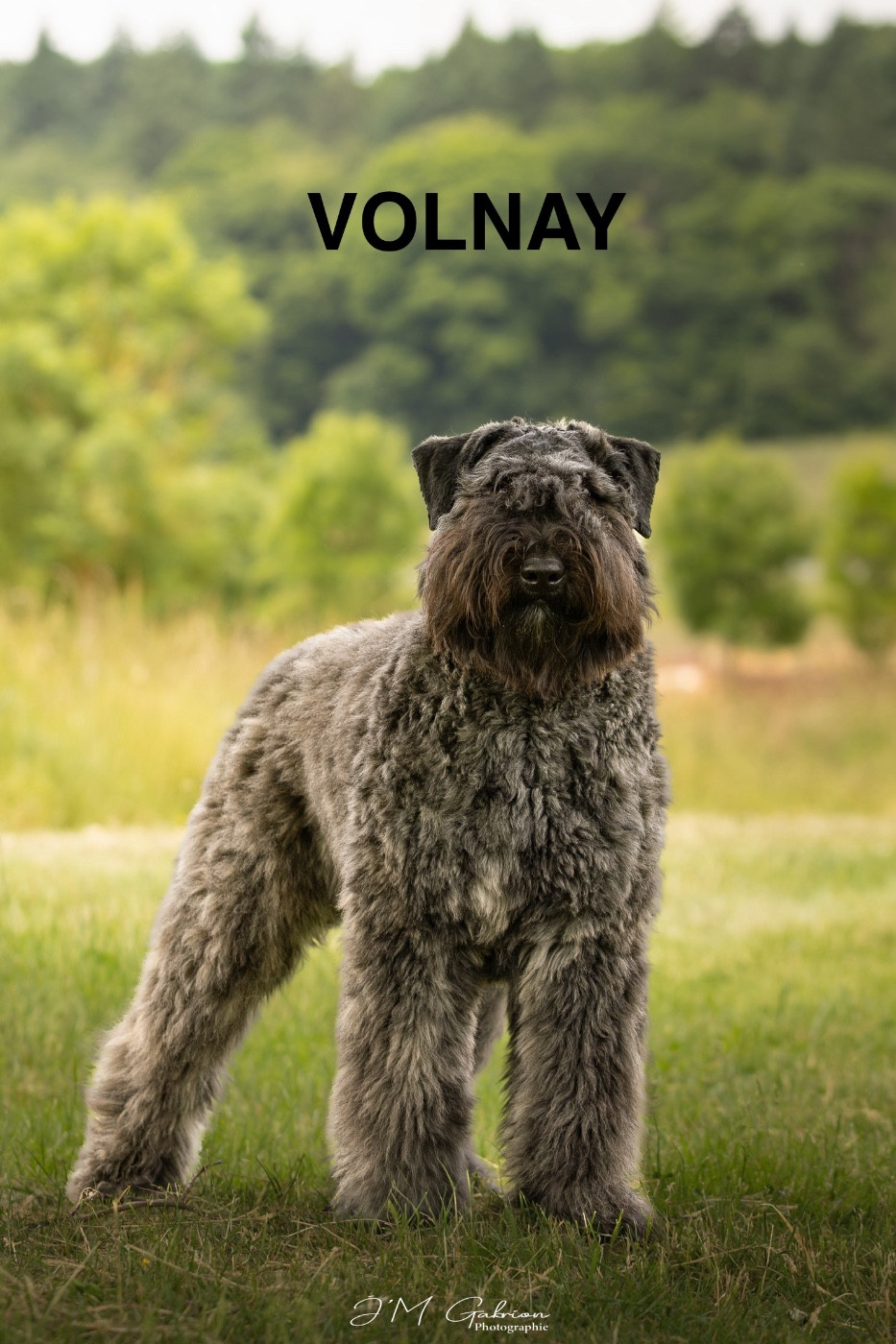 Publication : Du Coeur Des Bergers Auteur : JM Gabrion Photographie