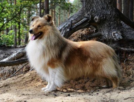 art felicity ALEXANDR