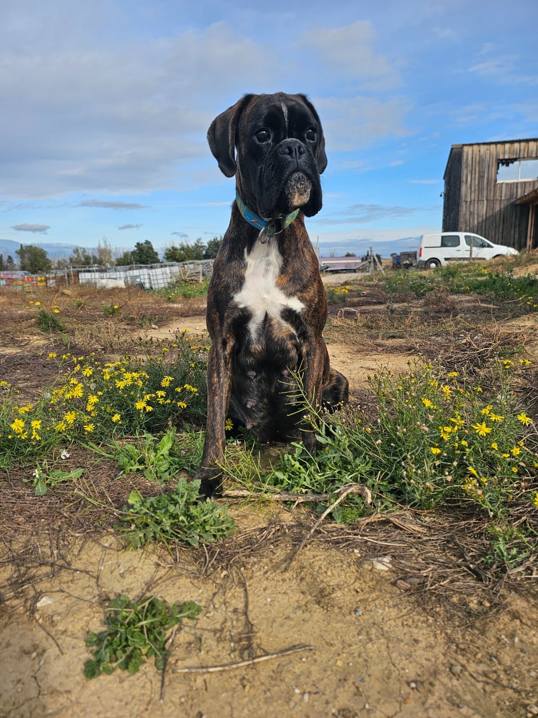 Publication : Du Soleil De L'aurion 