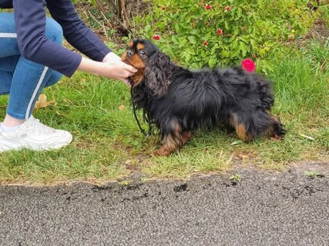 Publication : des marais de Bremes 