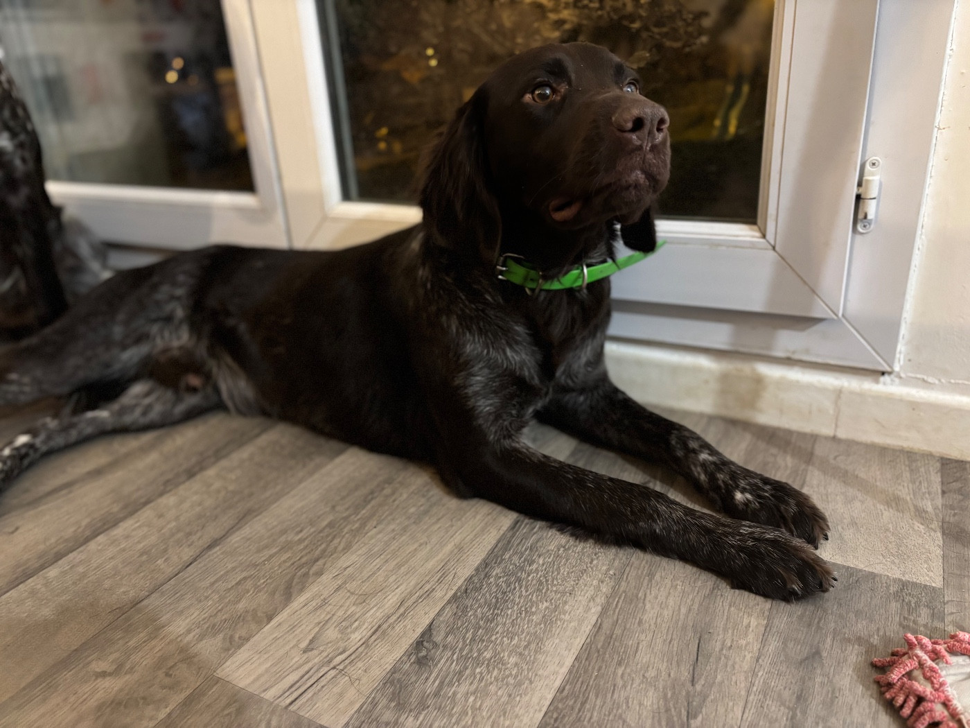 Publication : De La Vallée De La Meuse