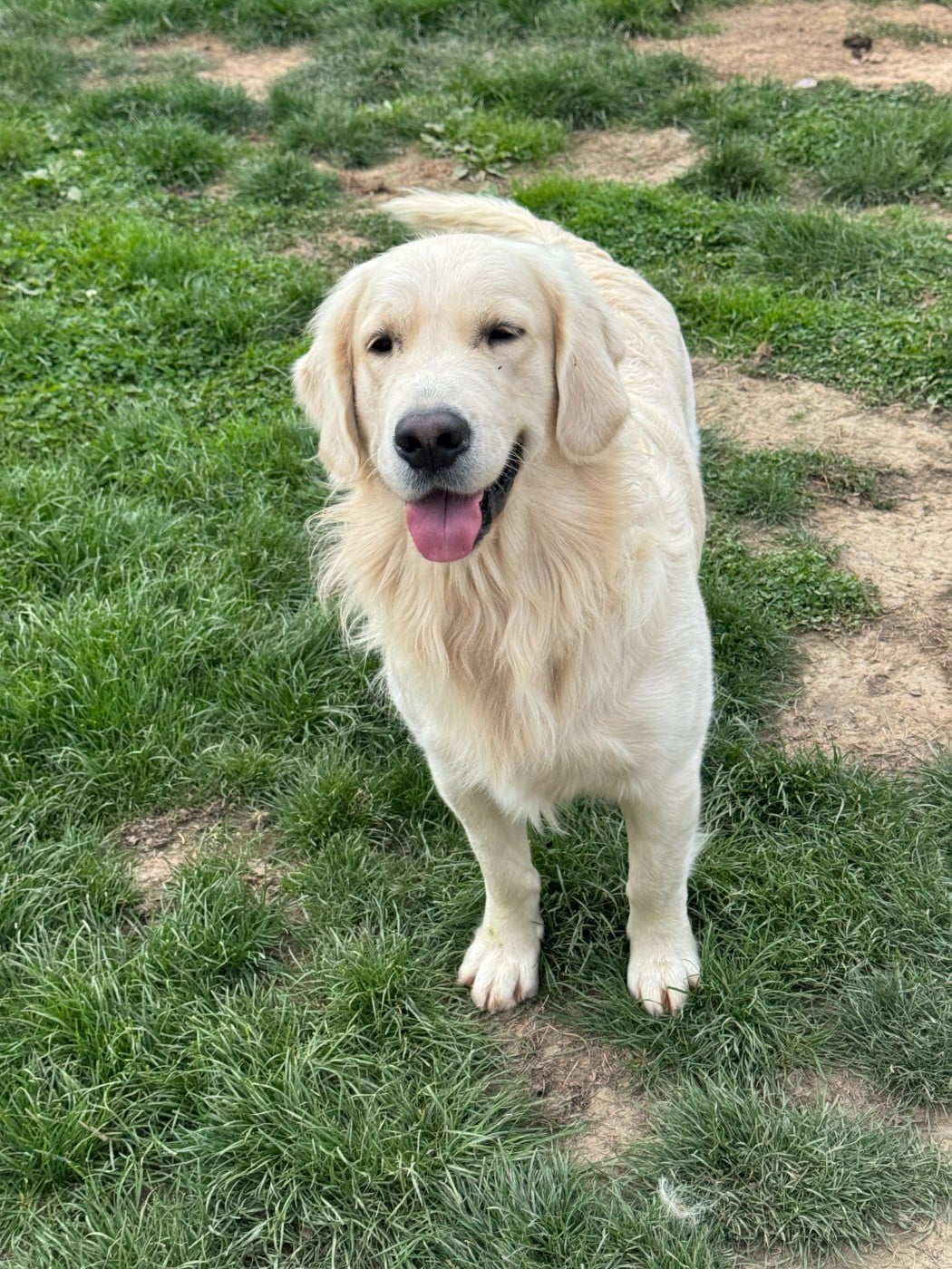 Publication : (Sans Affixe) 