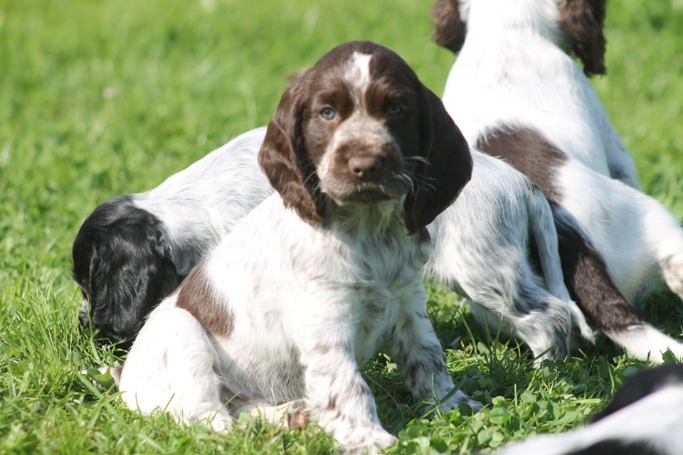 Publication : Du Domaine D'hakyna 