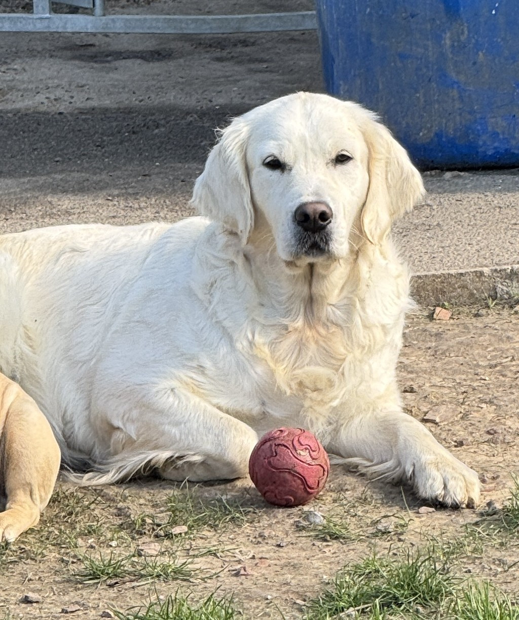 Publication : (Sans Affixe) 